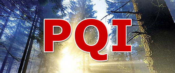 Что такое PQI? Что такое PQI?